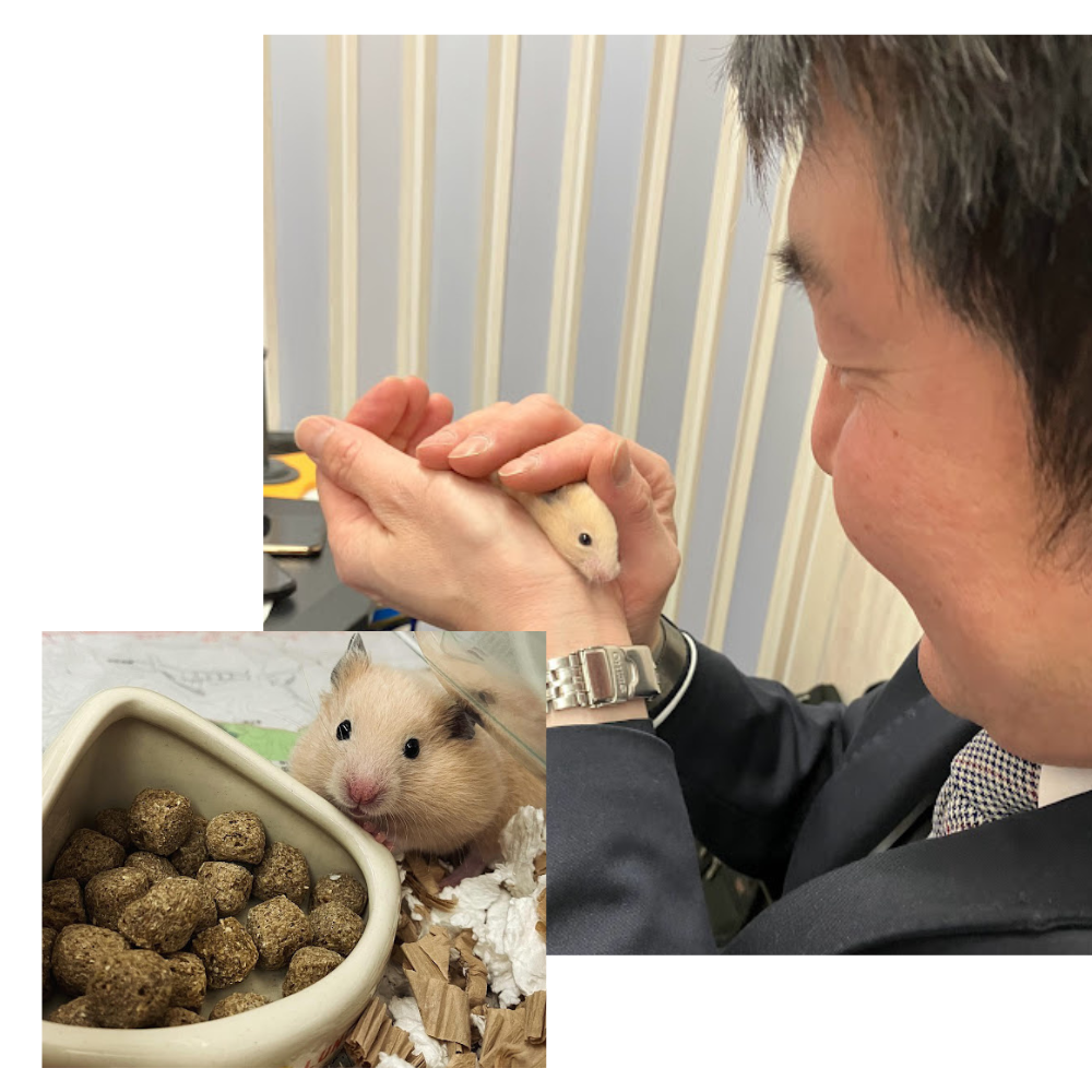 不動産屋？なんですけど…