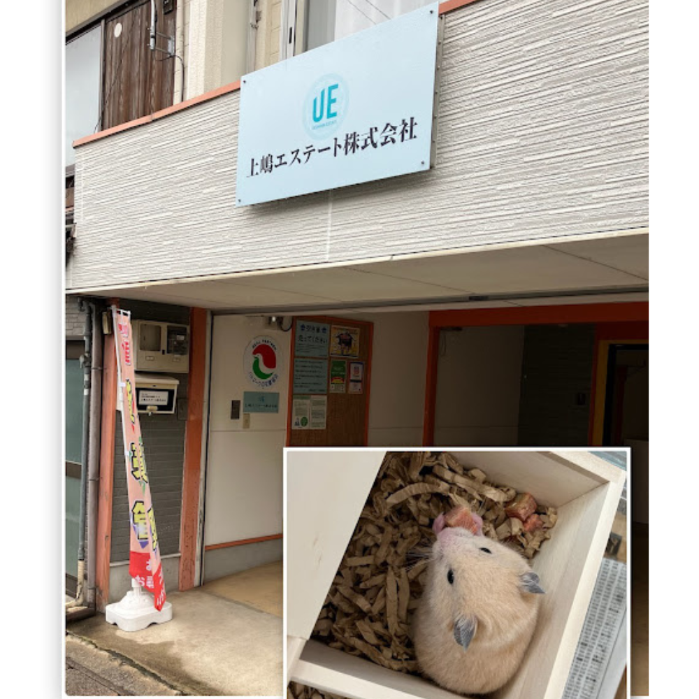 まだまだ寒い但馬地方⛄