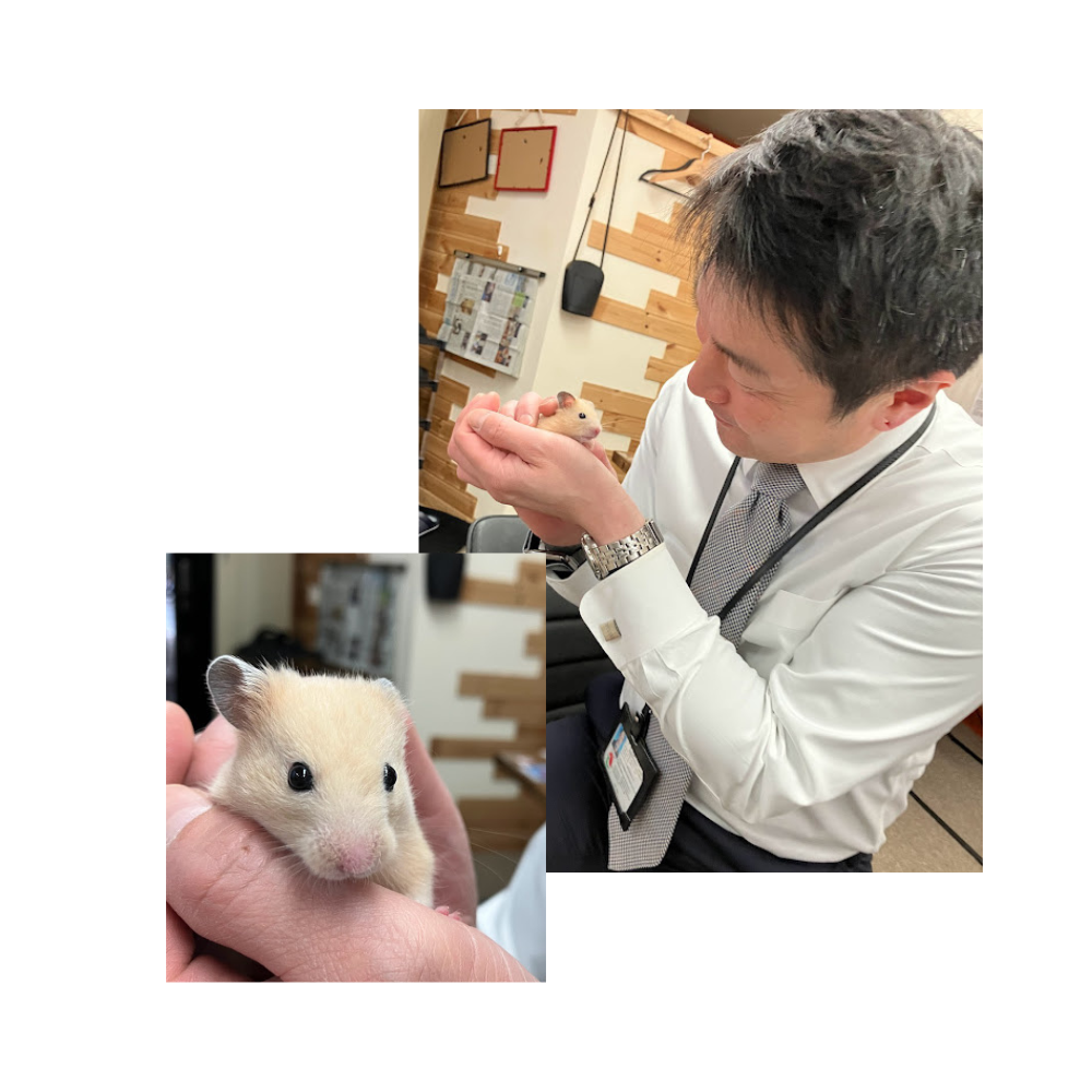 くま子と社長②