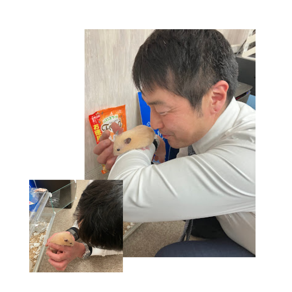 社長の癒しくま子🐹
