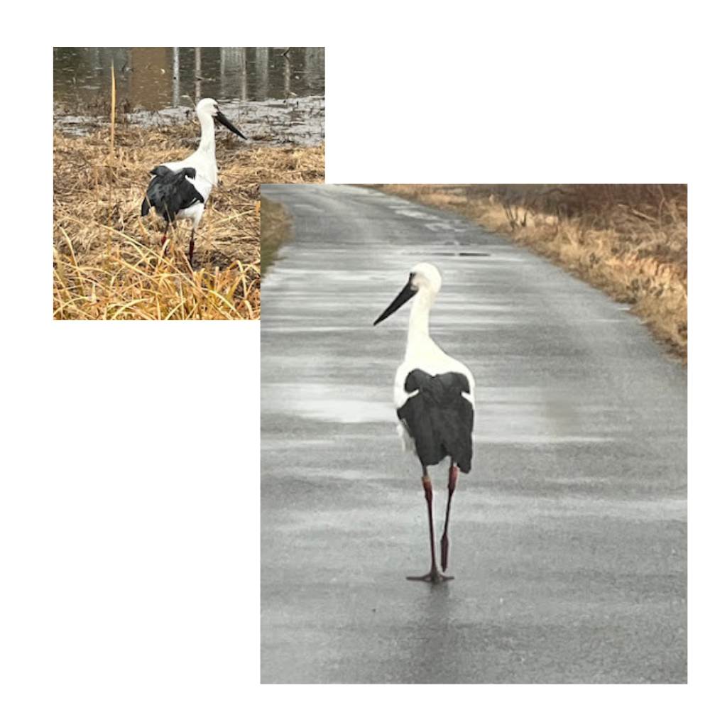 いいことしかない😄