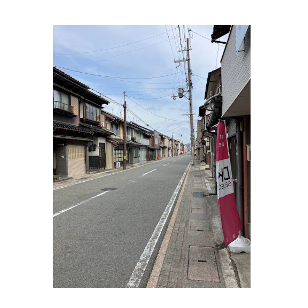 花粉の飛散量がヤバそうです😱