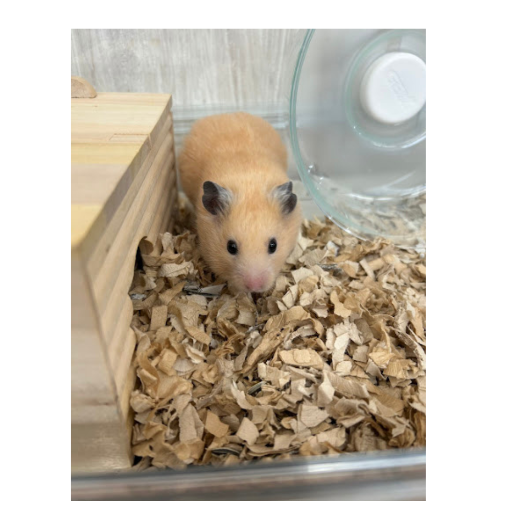 毎日暑い日が続きますね…