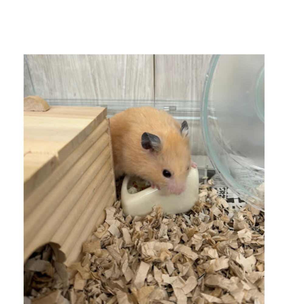 おはようございます😊