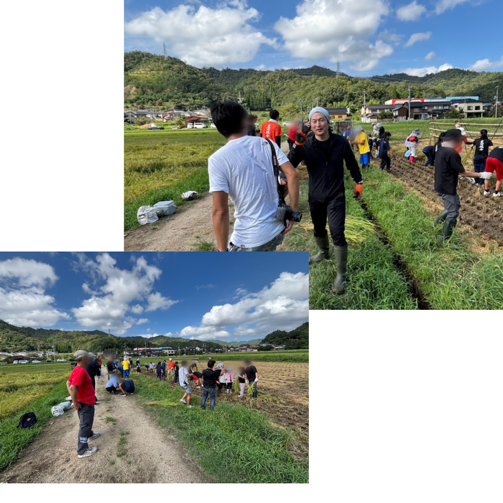 社長稲刈りに挑戦？！