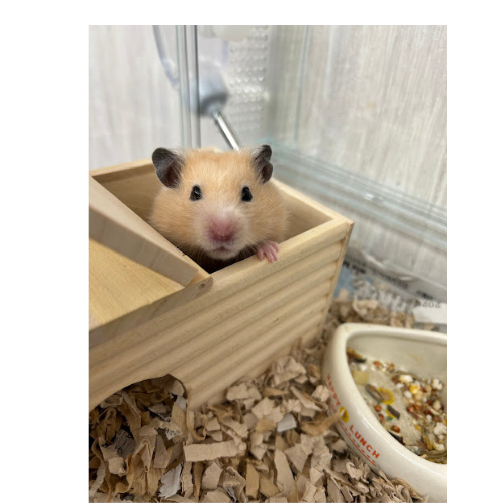 おはようございます😊