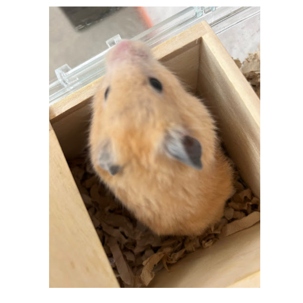 過ごしやすい季節になりました😊