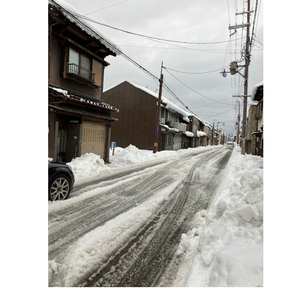 降りましたねぇ⛄