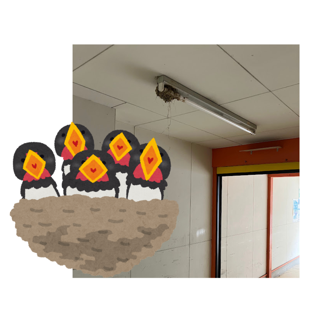 上手に撮れません📷