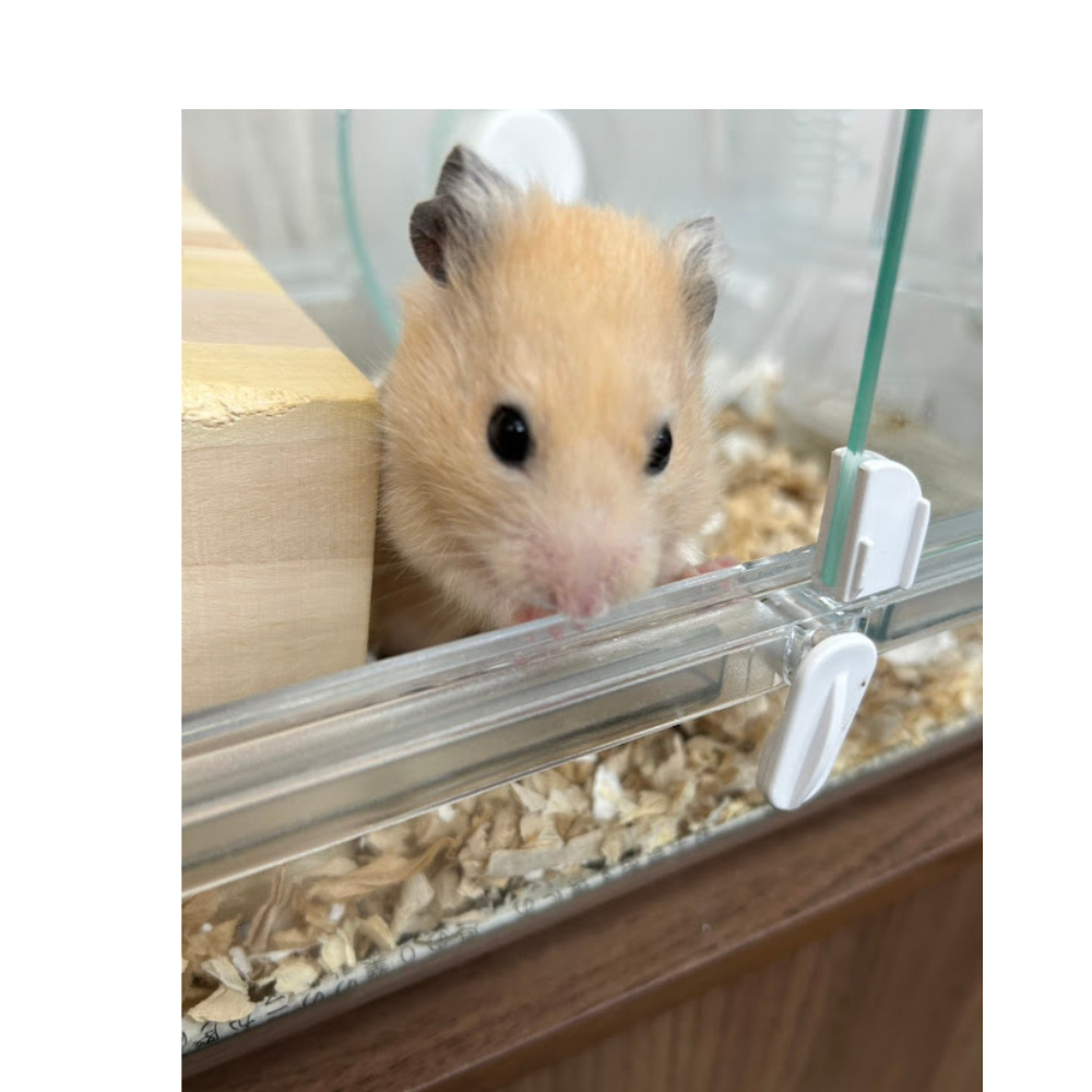 おはようございます😊